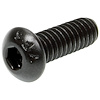 ALL16940 Button Head Bolts 1/4-20 x 1/2 in. 25 Pack - image 1