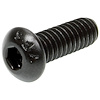 ALL16941 Button Head Bolts 1/4-20 x 3/4 in. 25 Pack - image 1