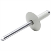 3/16 in. Large Head Rivets Grip Range: 1/4 in. - 3/8 in. - image 1