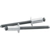 3/16" Small Head Rivets Grip Range: 1/8" - 1/4" - image 1