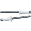 3/16" Small Head Rivets Grip Range: 1/4" - 3/8" - image 1
