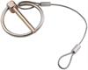 Flip-Over Clip with Lanyard 3/16" with 6" Lanyard - image 1