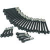 Head Bolt Kit BB Chevy - image 1