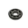 Transfer Case Bearing