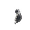 10163 Engine Torque Strut Mount for 2017-2024 Nissan Kicks and Versa [Rear Lower] - image 2
