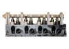 Remanufactured Cylinder Head for 1989-1994 Ford/Mazda with 2.3L L4 - image 2