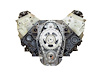 DCM3 Remanufactured Crate Engine for 1993-1994 Camaro & Firebird 5.7L LT1 V8 - image 1