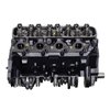 DCPP Remanufactured Crate Engine [1968-1995 Big Block Chevy 454 ci/7.4L V8 CNG] - image 2