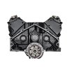 Remanufactured Crate Engine for Marine Applications with 1987-1995 Small Block Chevy 350ci/5.7L - image 3