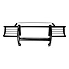 GRILLE GUARD - image 1