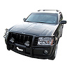 GRILLE GUARD - image 1