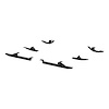 MOUNTING BRKTS AEROTREAD - image 1