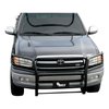 GRILLE GUARD - image 2