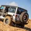 TRAILCHASER REAR CENTER - image 3