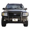 GRILLE GUARD - image 3