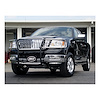 GRILLE GUARD - image 1