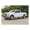 GRILLE GUARD - image 1