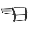 GRILLE GUARD - image 2