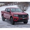 PRO SERIES GRILLE GUARD - image 2