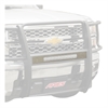 GRILLE GUARD COVER PLATE - image 1