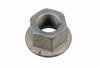 NUT (SLP-1)
