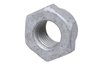 NUT (SLP-1) - image 1