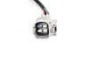 Tail Light Wiri (P1) - image 2