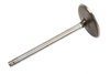 VALVEINT (SLP-1) - image 2
