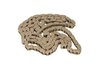 Timing Chain (SLP-P1) - image 1