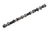 CAMSHAFTINTMCHG (99) - image 1