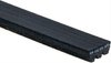 BELT W PMP - image 2