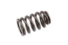 SPRING-VLV (SLP-1) - image 1