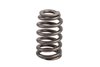 SPRING-VLV (SLP-1) - image 2