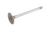 VALVEEXH (SLP-1) - image 1