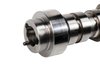 CAMSHAFT ASM (SLP-1) - image 2