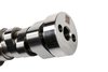 CAMSHAFT ASM (SLP-1) - image 3