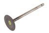 VALVEINT (SLP-1)