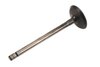 VALVEEXH (SLP-1) - image 2