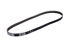 V-Ribbed Serpen (SLP-P1) - image 1