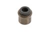 SEAL-VLV STEM O (SLP-1) - image 1