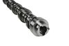 CAMSHAFT ASM (SLP-1) - image 2