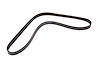 BELT GEN A/C CMPR - image 1