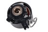 Timing Belt Ten (SLP-P1) - image 2