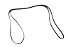 BELT-FAN & W/PM (SLP-P1) - image 1