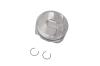 PISTON KIT STD (SLP-1) - image 1