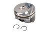 PISTON KIT LH - (SLP-1) - image 1