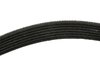 BELT-GEN & A/C (SLP-P1) - image 2