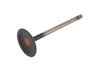 VALVE-INT (SLP-1) - image 1