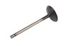 VALVE-INT (SLP-1) - image 2