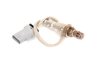 Heated Oxygen S (SLP-1) - image 1